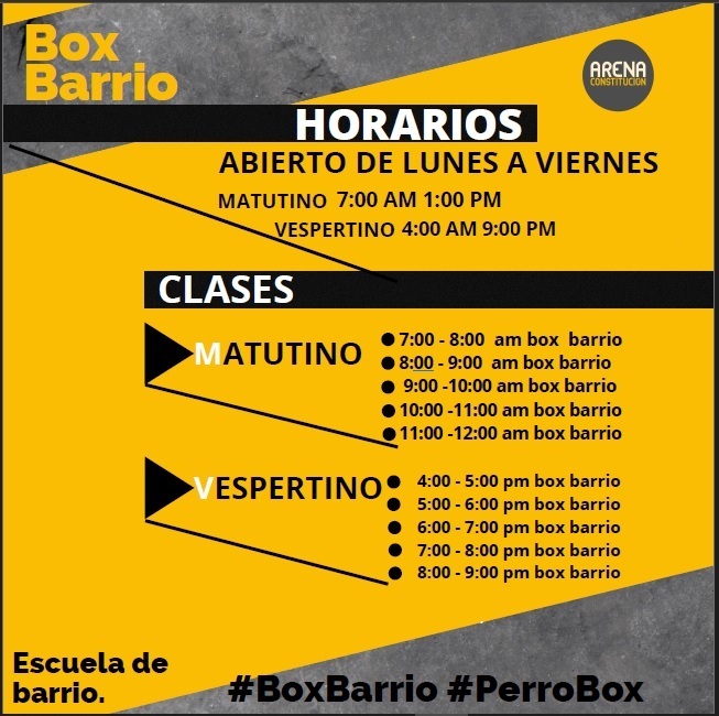 Arena Boxing 4