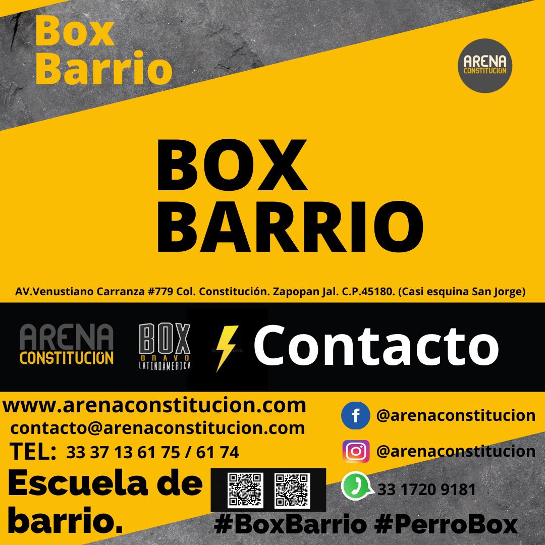 Arena Boxing 1