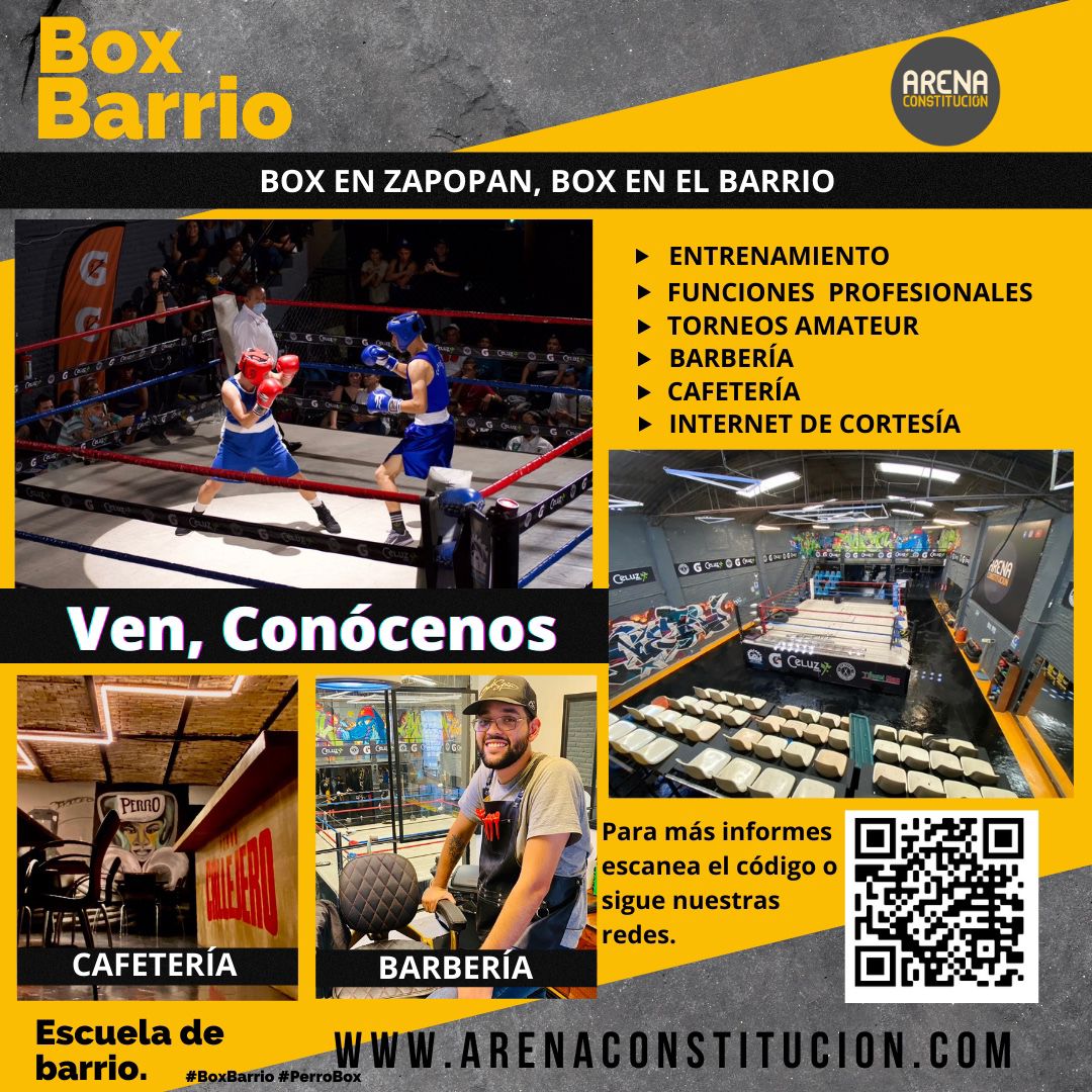 Arena Boxing 6